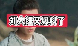 刘大锤最新爆料事件